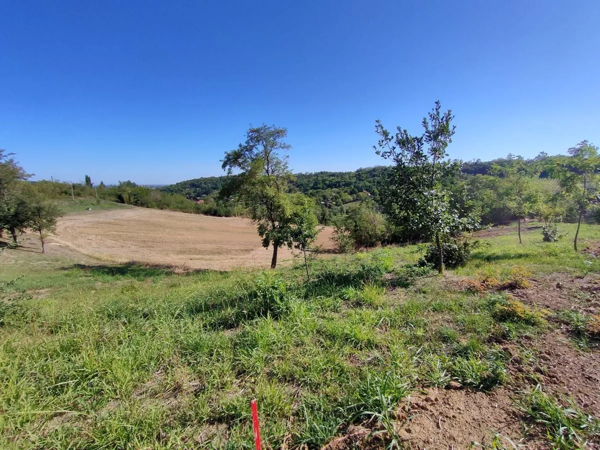 Prodaja, plac, 700m², Sremska Kamenica, Petrovaradin