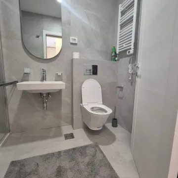 Moderno opremljeno kupatilo sa sivim pločicama, umivaonikom i toaletom. - image 8