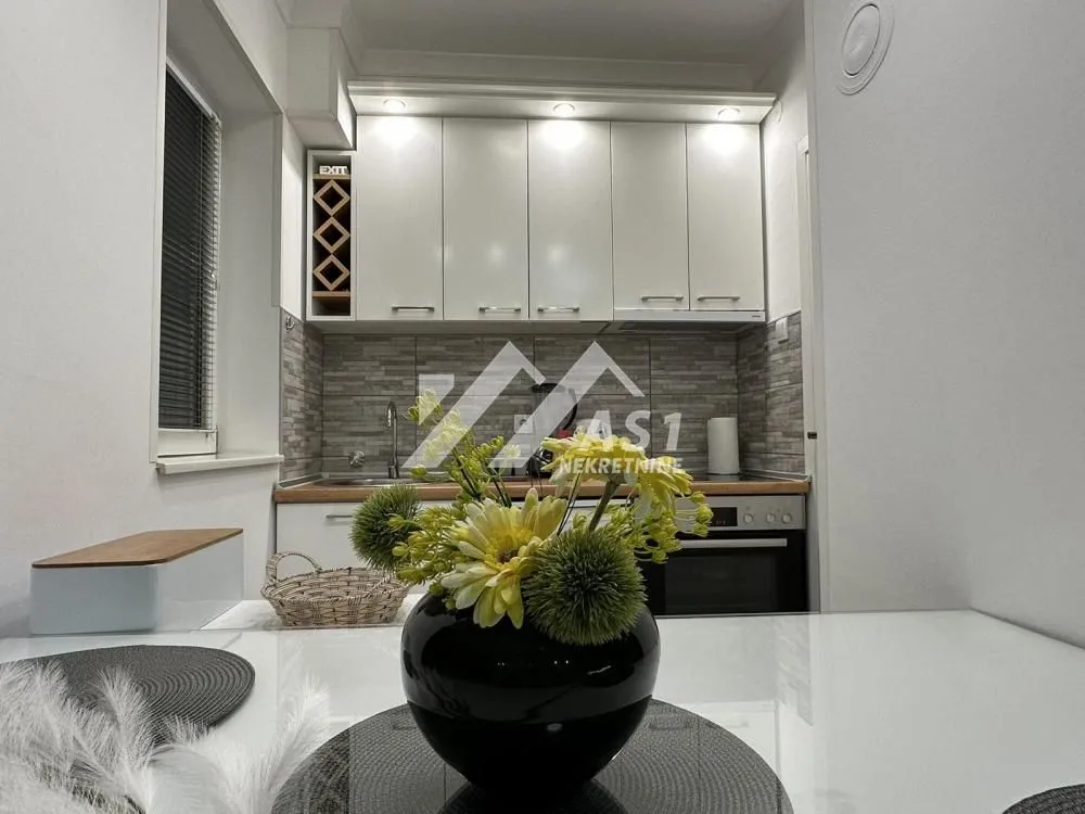Izdavanje, dvosoban stan, 44m², Centar, Novi Sad