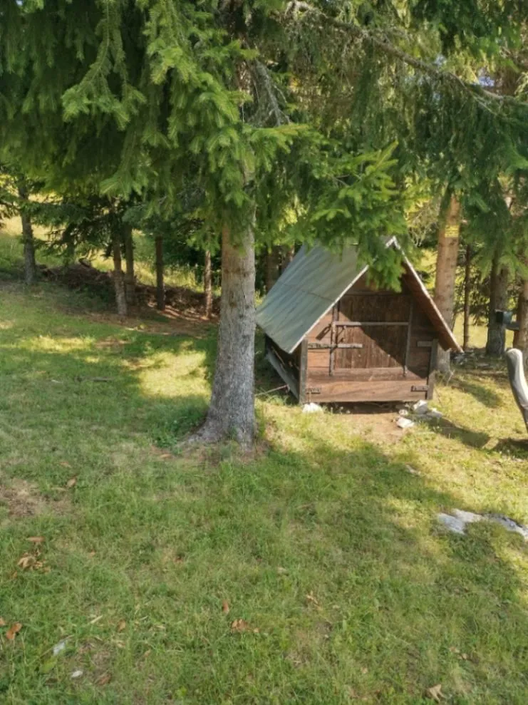 Prodaja, plac, 7000m², Tara, Srbija
