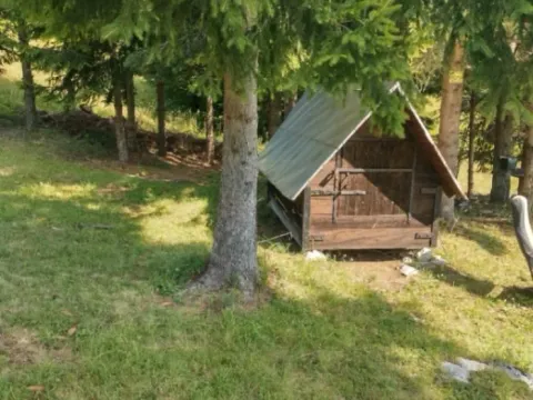 Prodaja, plac, 7000m², Tara, Srbija - image 9