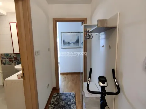 Izdavanje, jednosoban stan, 40m², Stari Grad, Beograd - image 10