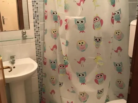 Izdavanje, garsonjera, 25m², Novi Sad, Srbija - image 2