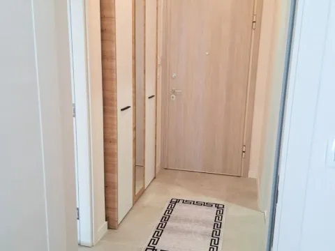 Izdavanje, jednosoban stan, 46m², Central Point, Podgorica - image 3