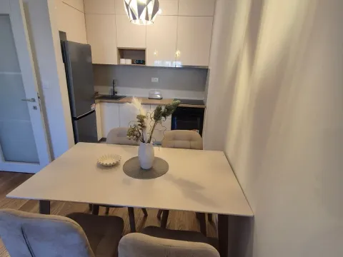 Rent, one bedroom apartment, 49m², Central Point, Podgorica - image 2