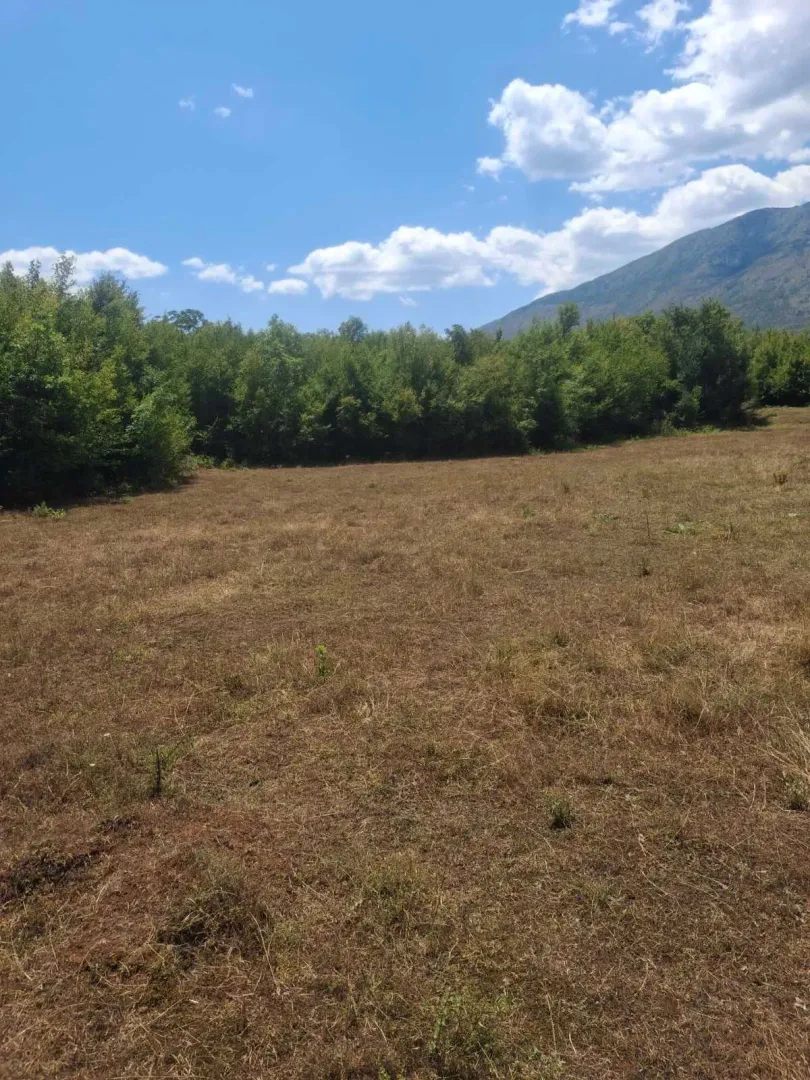 Sale, land lot, 80000m², Slap, Danilovgrad