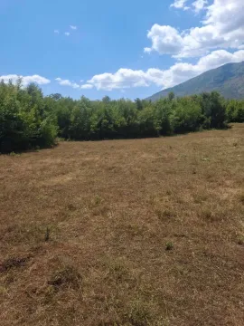 Sale, land lot, 80000m², Slap, Danilovgrad - image 8