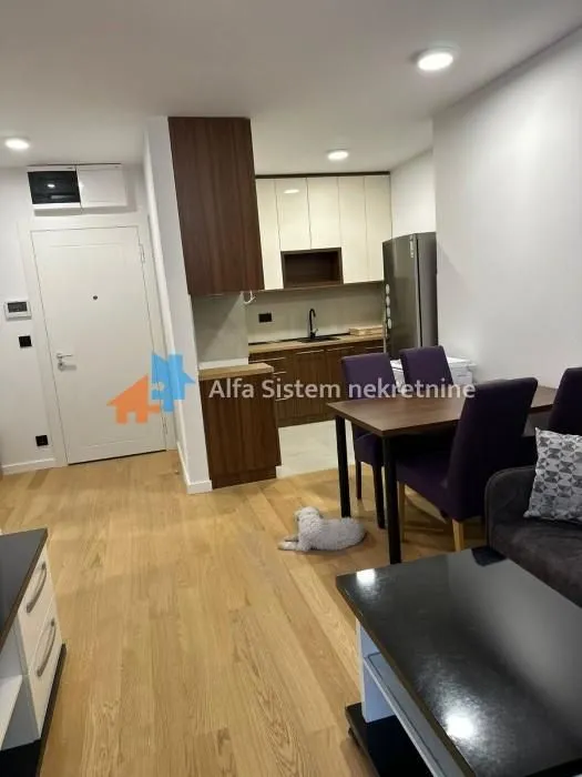 Rent, two bedroom apartment, 46m², Vračar Sve Podlokacije, Beograd