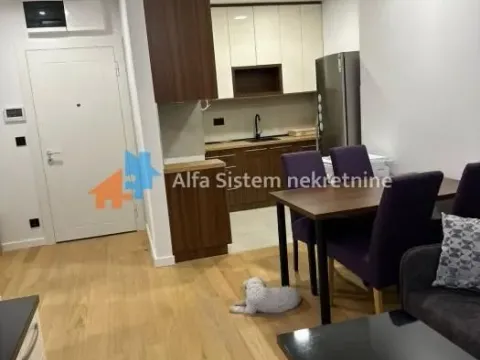 Rent, two bedroom apartment, 46m², Vračar Sve Podlokacije, Beograd - image 9