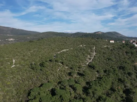 Prodaja, plac, 6500m², Luštica, Herceg Novi - image 7