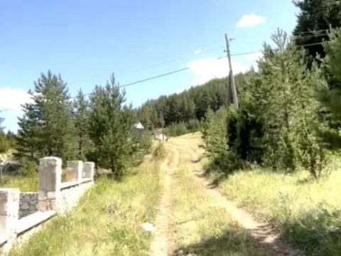 Sale, land lot, 300m², Borje, Žabljak - image 6