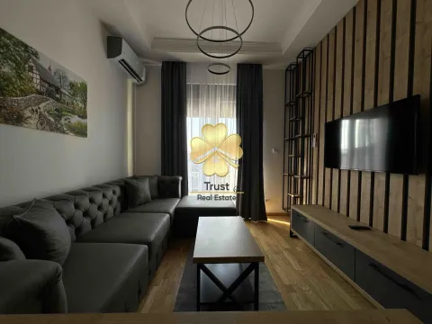 Izdavanje, jednosoban stan, 40m², Zabjelo, Podgorica - image 2