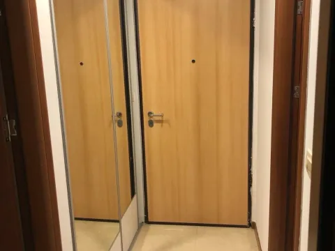 Izdavanje, jednosoban stan, 45m², Stari Aerodrom, Podgorica - image 5