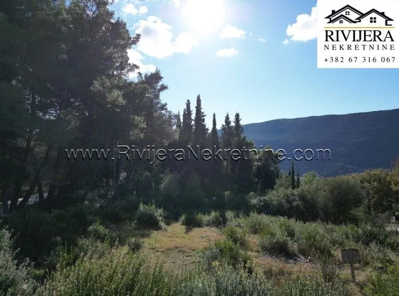 Prodaja, plac, 1334m², Mojdež, Herceg Novi