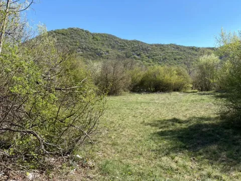 Prodaja, plac, 8979m², Kuči, Podgorica - image 7
