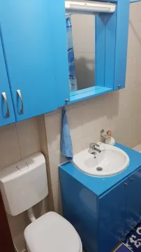 Manje kupatilo sa plavim namještajem, umivaonikom i toaletom. - image 12