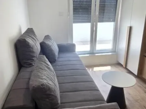 Izdavanje, jednosoban stan, 35m², Veternik, Novi Sad Sve Podlokacije - image 2