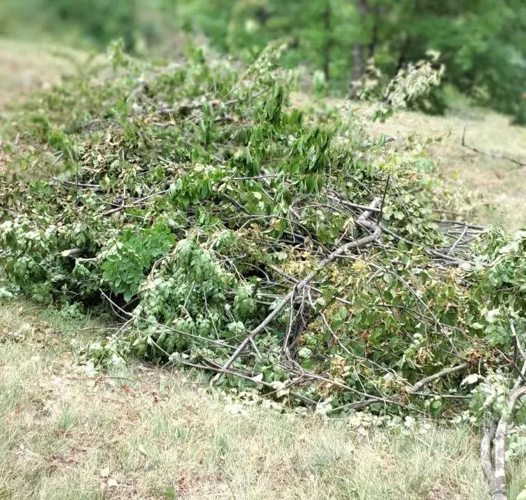 Sale, land lot, 45233m², Kolašin, Crna Gora