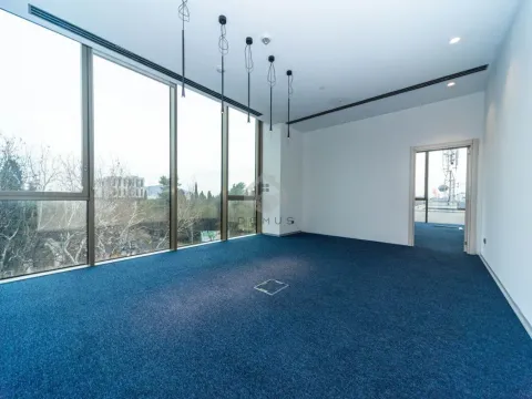 Rent, office space, 262m², Centar, Podgorica - image 8