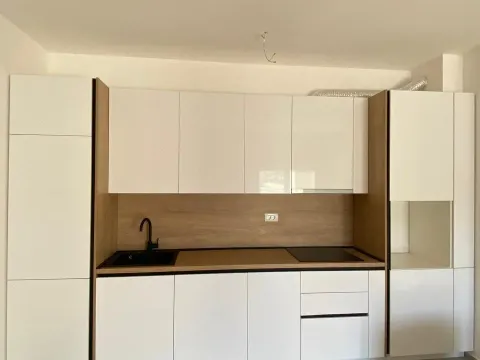Izdavanje, poslovni prostor, 69m², Zabjelo, Podgorica - image 2