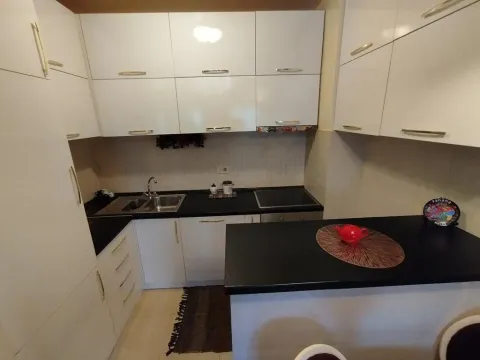 Rent, one bedroom apartment, 50m², Ljubović, Podgorica - image 9