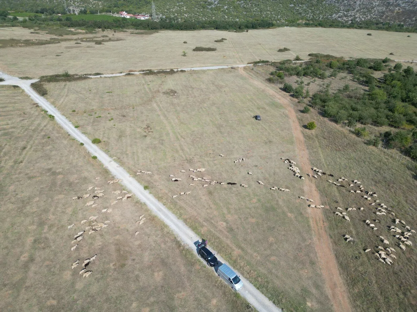 Prodaja, plac, 5200m², Donja Gorica, Podgorica