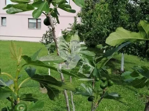 Prodaja, kuća, 275m², Sopot, Beograd - image 11