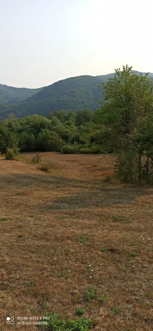 Prostrani travnati plac okružen šumom i brdima.
