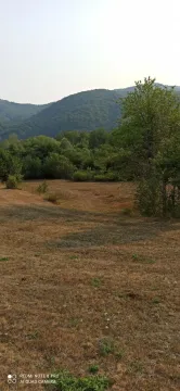 Prostrani travnati plac okružen šumom i brdima. - image 15