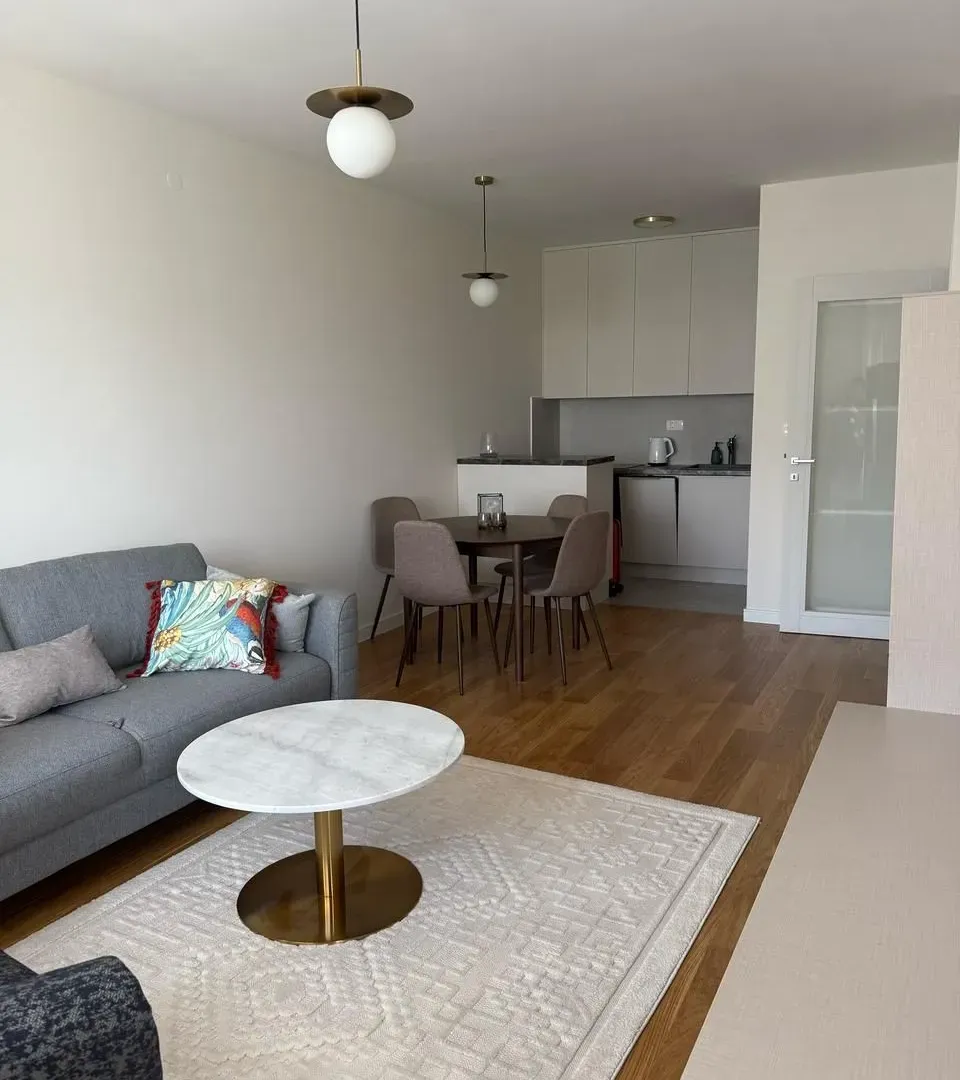 Izdavanje, jednosoban stan, 49m², Central Point, Podgorica