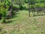 Sale, land lot, 240000m², Štitari, Cetinje - image 15