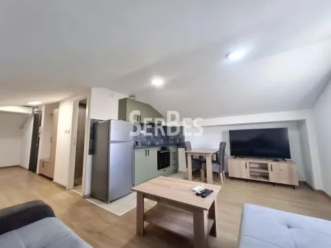 Izdavanje, jednosoban stan, 40m², Adice, Novi Sad Sve Podlokacije - image 2