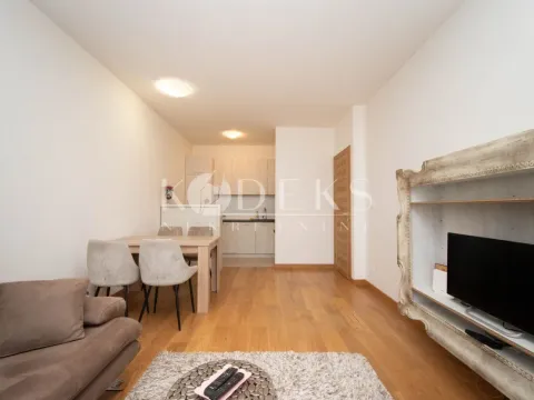 Rent, one bedroom apartment, 45m², New City, Podgorica - image 1