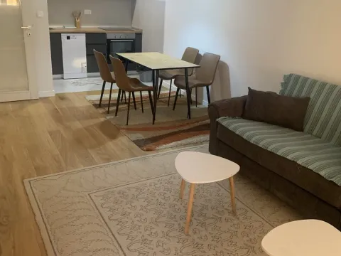 Izdavanje, jednosoban stan, 50m², Central Point, Podgorica - image 3
