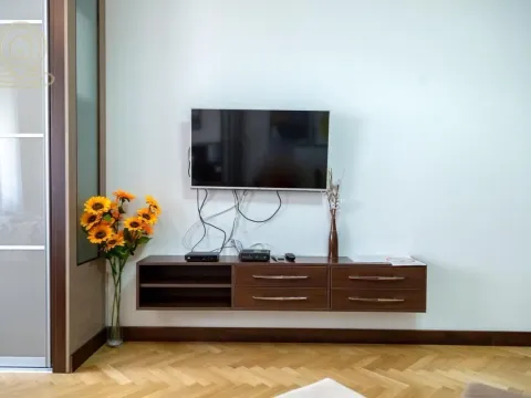 Rent, one bedroom apartment, 30m², Centar, Novi Sad - image 2