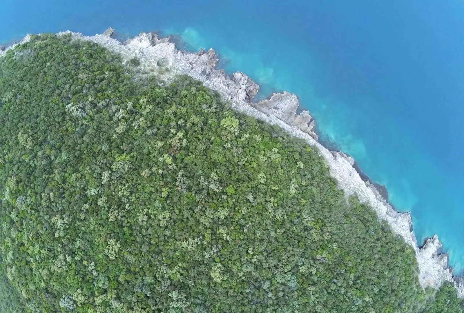 Prodaja, plac, 5000m², Zagora, Kotor
