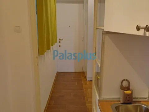 Izdavanje, jednosoban stan, 30m², Kalenić Pijaca, Vračar Sve Podlokacije - image 13