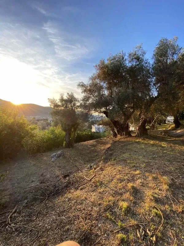 Prodaja, plac, 3770m², Zaljevo, Bar