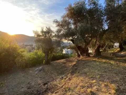 Prodaja, plac, 3770m², Zaljevo, Bar - image 4