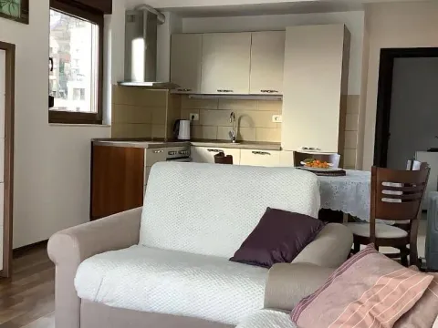 Sale, one bedroom apartment, 51m², Gospoština, Budva - image 5