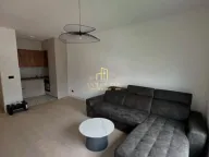 Rent, one bedroom apartment, 44m², Krivi Most, Podgorica - image 4