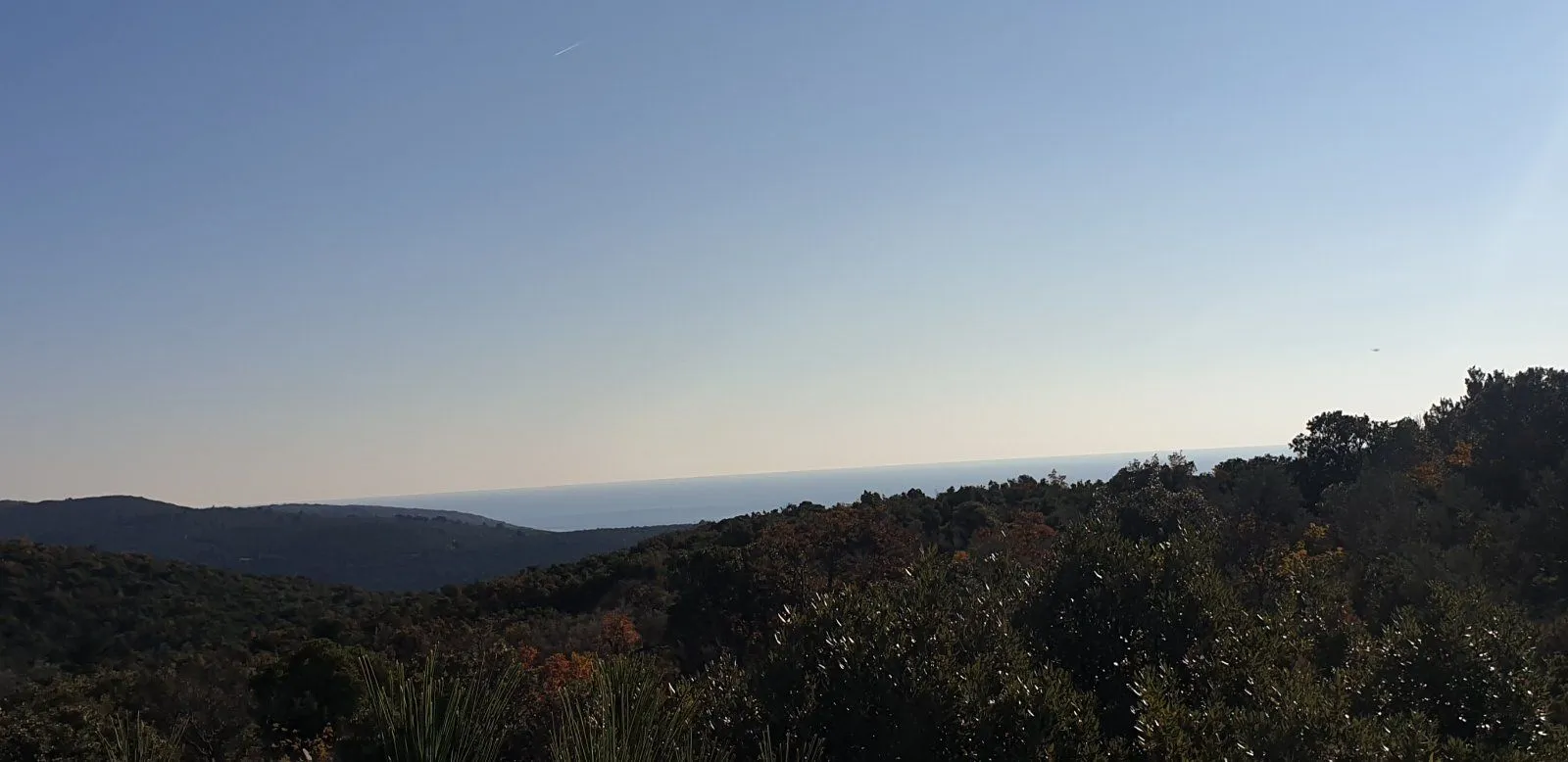 Prodaja, plac, 4150m², Herceg Novi, Crna Gora