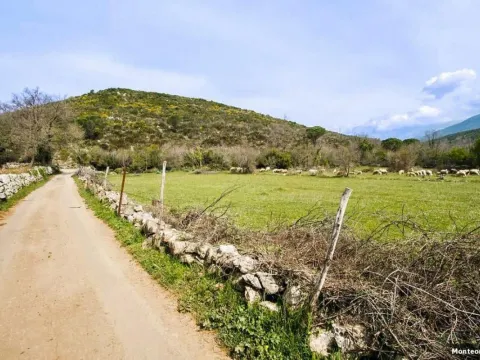 Prodaja, kuća, 220m², Zagora, Kotor - image 24