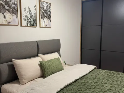 Izdavanje, jednosoban stan, 45m², Central Point, Podgorica - image 8