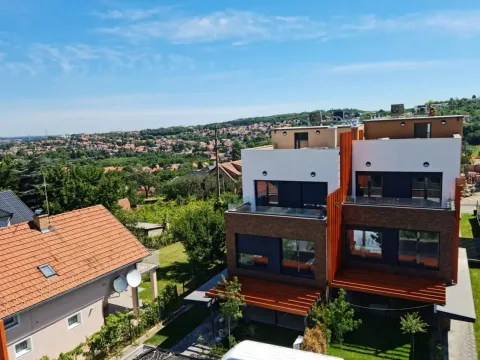 Izdavanje, kuća, 240m², Sremska Kamenica, Petrovaradin - image 3
