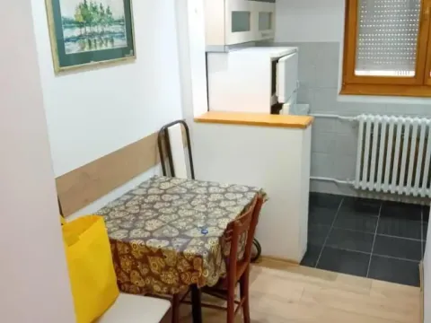 Izdavanje, dvosoban stan, 47m², Detelinara, Novi Sad Sve Podlokacije - image 10