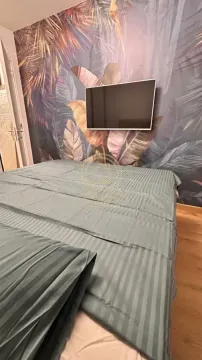 Bedroom with a double bed and a jungle-themed accent wallpaper wall. - image 5