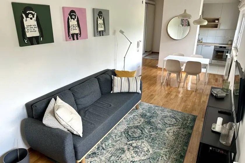 Sale, one bedroom apartment, 46m², Miljakovac, Rakovica