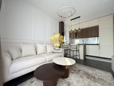 Rent, one bedroom apartment, 45m², Podgorica, Crna Gora - image 3