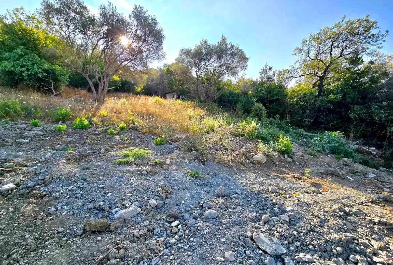 Prodaja, plac, 730m², Tivat, Crna Gora